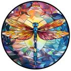 Dragonfly / Typ13 / L